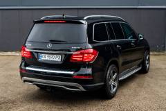 mercedes-gl-350-14