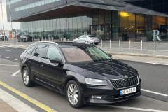 skoda-3